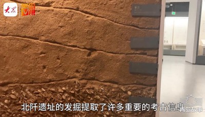 青島故事丨北阡考古還原青島先民生活：喝酒吃海鮮，經常來頓小燒烤，還養寵物貓