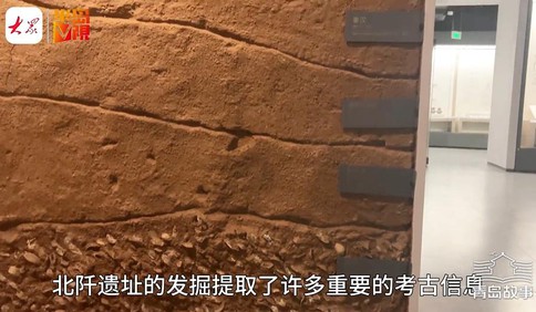 青島故事丨北阡考古還原青島先民生活：喝酒吃海鮮，經常來頓小燒烤，還養寵物貓