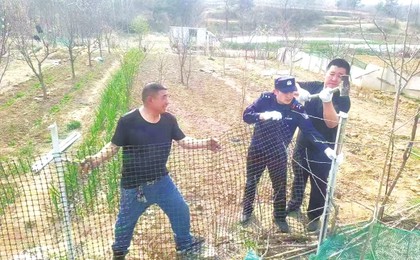 青島故事｜膠州九龍周瑞強：一道護欄解心結 駐村...