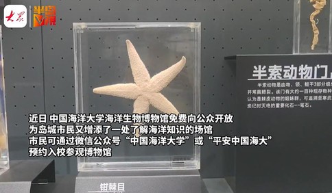 这里是青岛丨大学里还藏着“鲸鱼”！海大海洋生物博物馆免费开放，标本3000多件