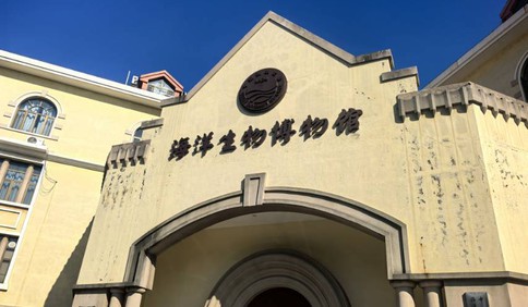 这里是青岛｜海大海洋生物博物馆免费开放，3000余标本展现海底奇幻