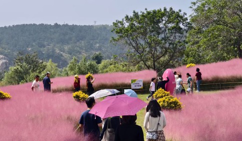 这里是青岛｜国庆假期吸引游客13万人次！画美达尼青岛市乡村振兴片区农文旅融合点燃乡村消费热