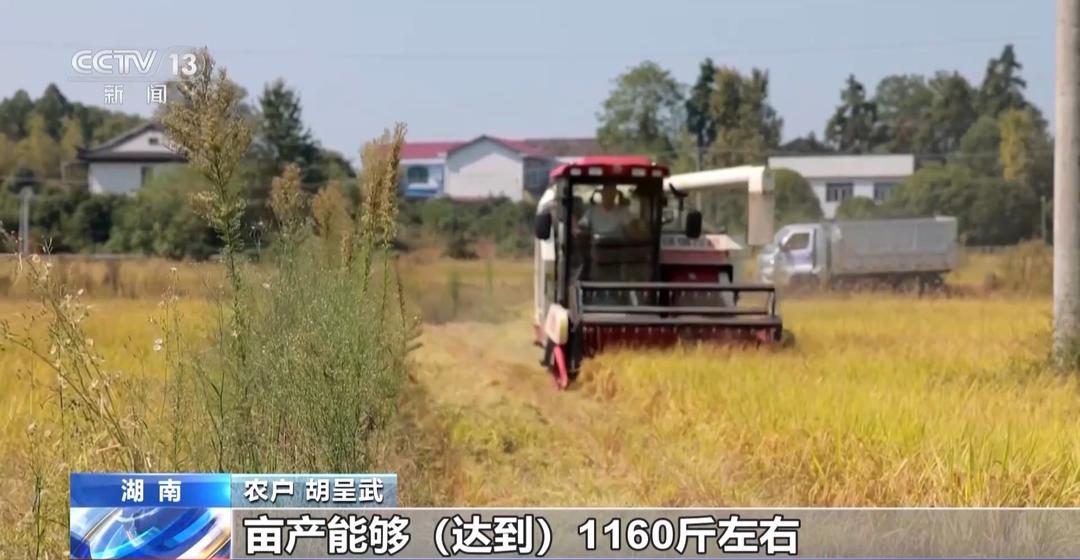 一大批农产品正走向你的餐桌！全国秋粮收获近四成