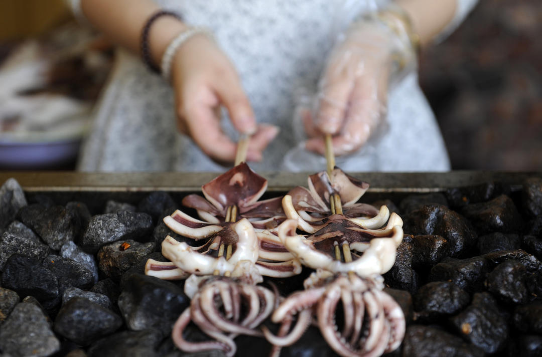 全球捕捞量最大的鱿鱼，究竟要不要“养护”？