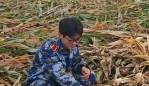 青岛故事｜青岛一大学生8天假期掰了7天半玉米：我多弯一次腰，父母就少吃点苦
