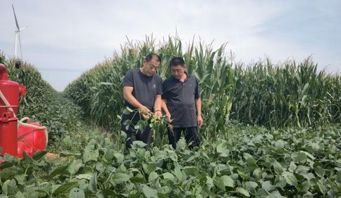 决胜“十四五” 打好收官战丨“齐鲁粮仓”持续丰盈——山东多措并举确保粮食稳产增产