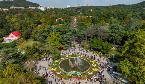 青岛故事｜金秋十月菊花开，中山公园迎客来！