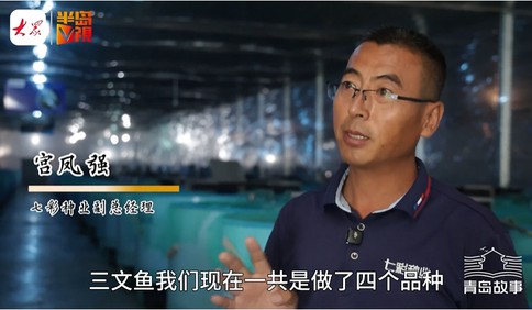 青岛故事 | 抓住三文鱼的“芯”！破解鱼卵和雄鱼种苗进口依赖，青企攻关养殖难题