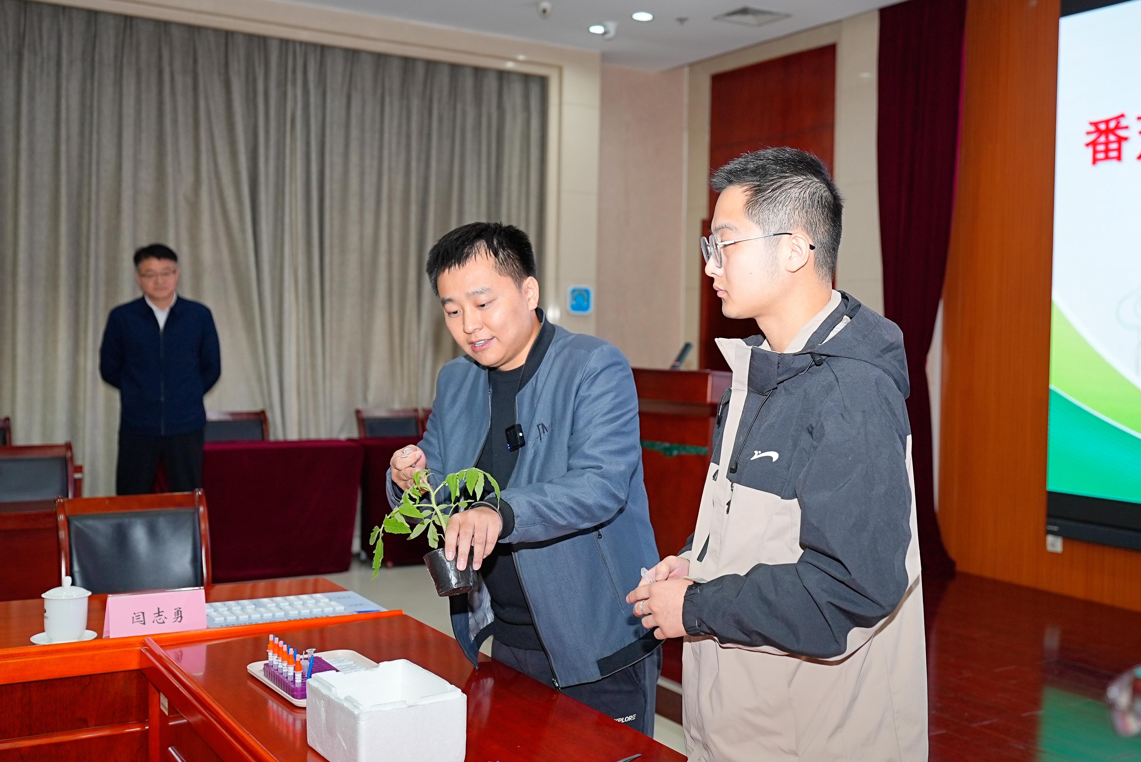 新技术加持，五分钟识别番茄“刺客”