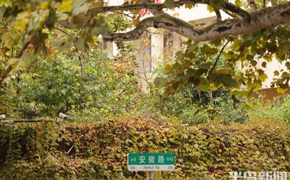 青岛老城区秋意正浓