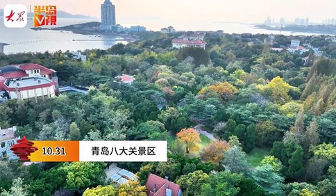 【视频】这里是青岛丨航拍：八大关调色进行中！看最美的秋天如何“酿造”
