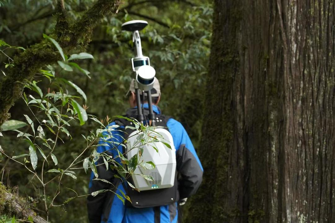 给森林做“CT”：中国1426亿棵树是这么“数”出来的