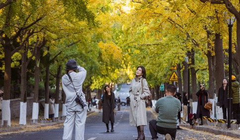 青岛故事｜五彩斑斓的秋日青岛，你怎能不爱？