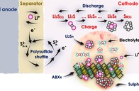 科学家“算”出新型电池材料，能“锁住”能量充得更快