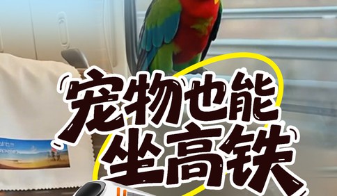 宠物也能坐高铁！40座高铁站可办理，360元就能托运，安全感拉满！