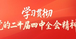 学习贯彻党的二十届四中全会精神