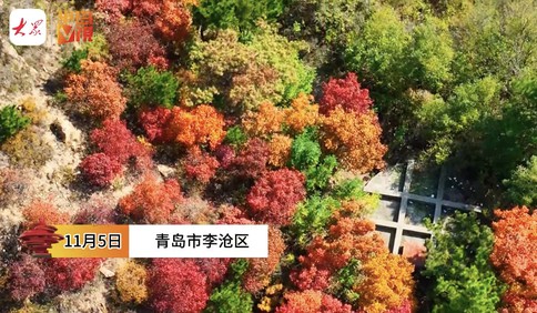 半岛V视｜这里是青岛：秋天打翻了调色盘！航拍青岛太和山的五彩斑斓