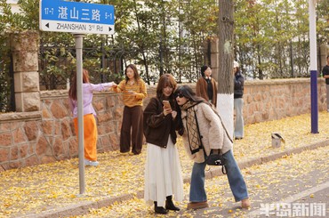 八大關(guān)層林盡染，進(jìn)入觀景賞葉佳期