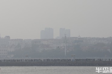 青島沿海一線霧蒙蒙
