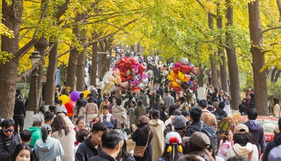 青岛故事 | 八大关银杏大道流量十足，这款落叶帽子火了！