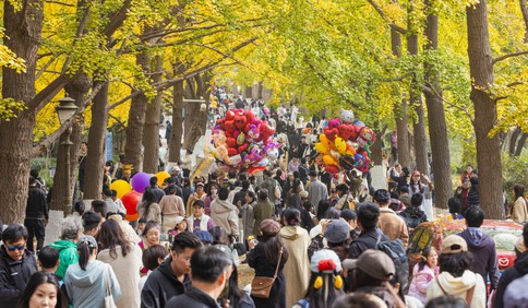 青岛故事 | 八大关银杏大道流量十足，这款落叶帽子火了！