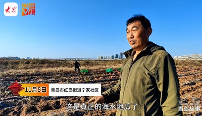 青岛故事丨盐碱地种出“海水地瓜”！科技唤醒沉睡的土地资源，亩产可达6000斤