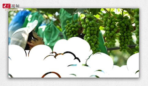 乡村振兴看片区丨 “明星村” 放大招！13 个村“抱团”玩出乡村振兴新花样