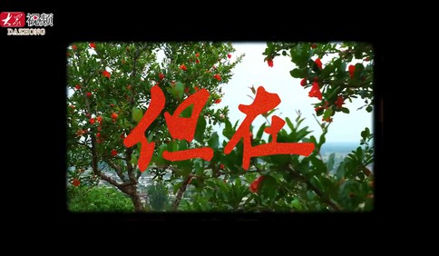 乡村振兴看片区丨3元托管，人均增收2万3，这里有座石榴山庄