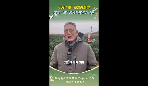 乡村振兴看片区丨不光“搬”南方的茶树，还要“搬”南方的环境到滕州