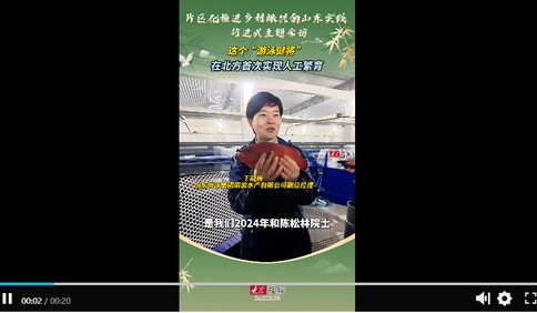 乡村振兴看片区丨这个“游泳健将”在北方首次实现人工繁育