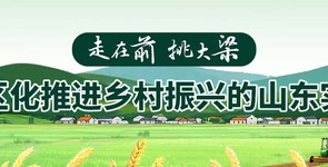 走在前 挑大梁 片区化推进乡村振...