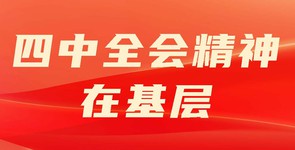 四中全会精神在基层