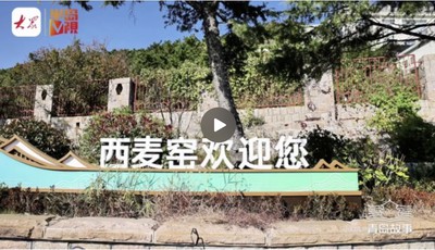 片区化推进乡村振兴的山东实践丨西麦窑：主打民宿，完善基础设施，实现农文体旅融合性发展