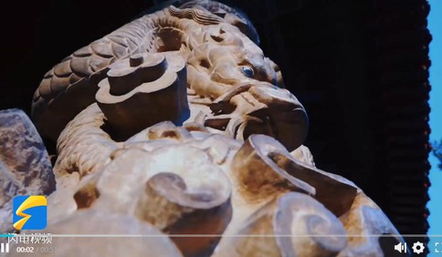 沿着总书记的足迹看山东 | 曲阜“三孔”：老树新枝绽“两创”春华