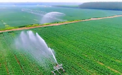 潍坊诸城：人才逐梦乡野，“跨代际”创业上演接力...