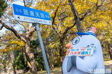 海鸥季萌趣IP空降巡游青岛老城