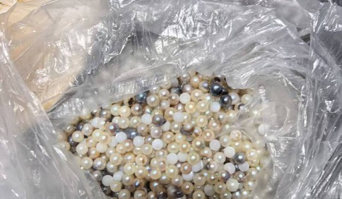 青岛故事｜海中“生”明珠！青岛产珍珠首次大量上市 收购价1斤1.8万元