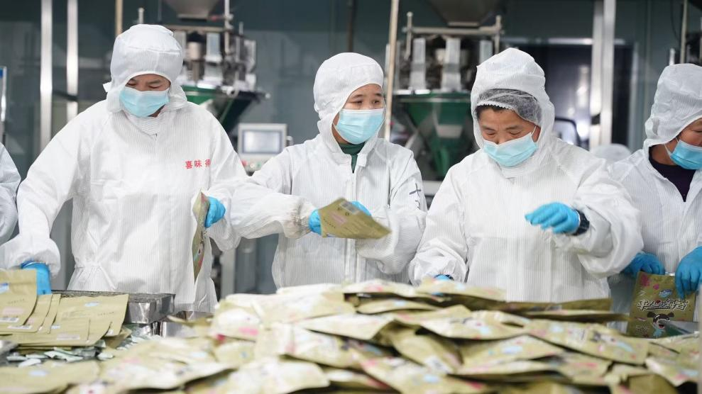 拼多多80后紫菜主理人：弃高薪返乡创业，设“弹性岗”支持员工家事工事事事关心