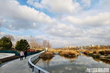 青岛张村河：深冬河畔夕照暖