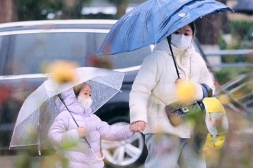 雪爽约了，冬雨却下得欢