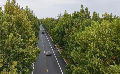 连接青岛与高密的南北交通动脉！这两条大中修国省...