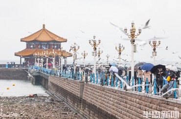 雨润栈桥 撑伞赏鸥