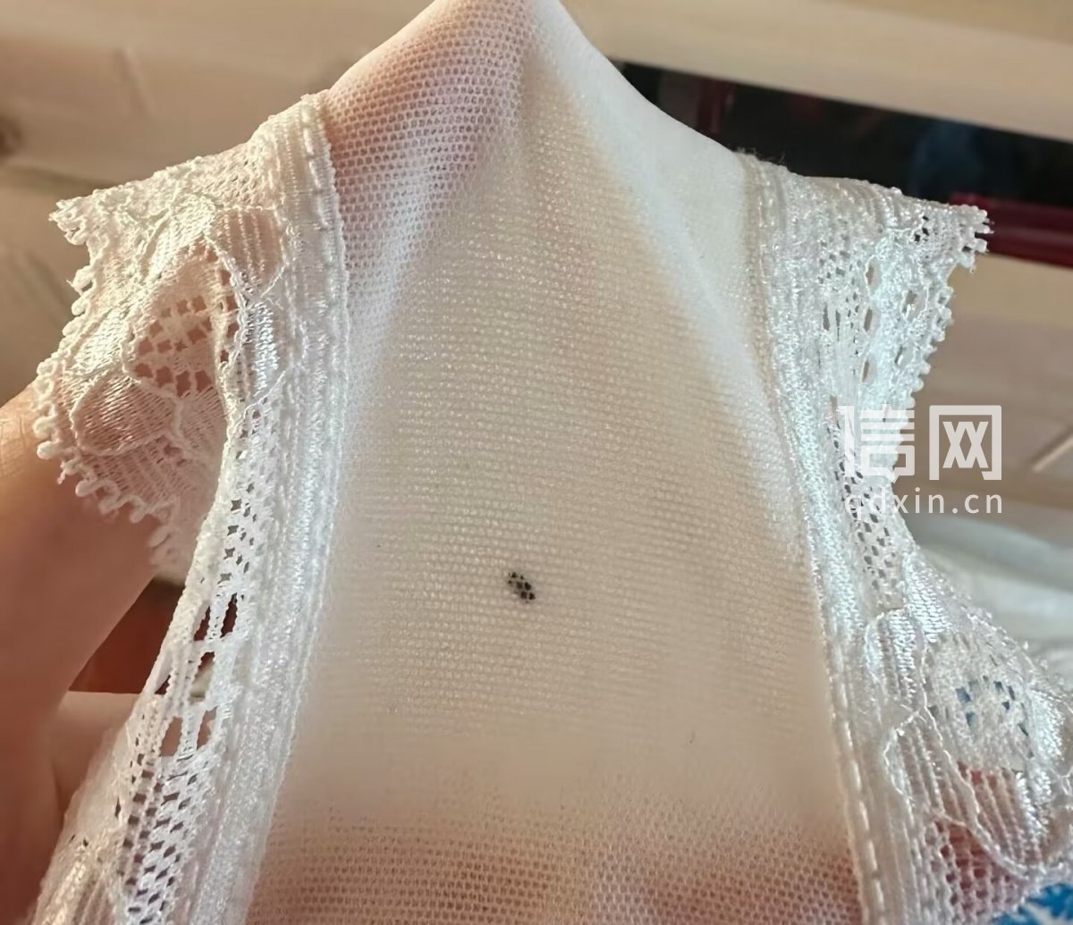 网购女士内裤出现黑色不明异物 商家称是快递打包导致的