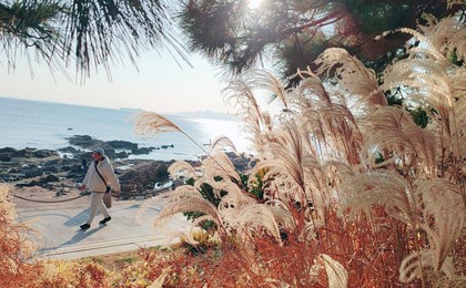 小寒节气 青岛迎来“明镜天”