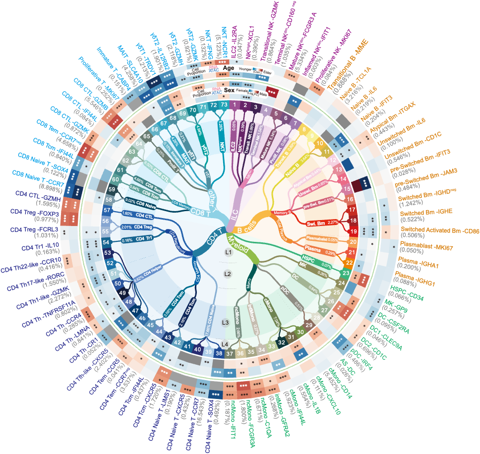我科学家发现73种免疫细胞新亚型  含多种罕见细胞