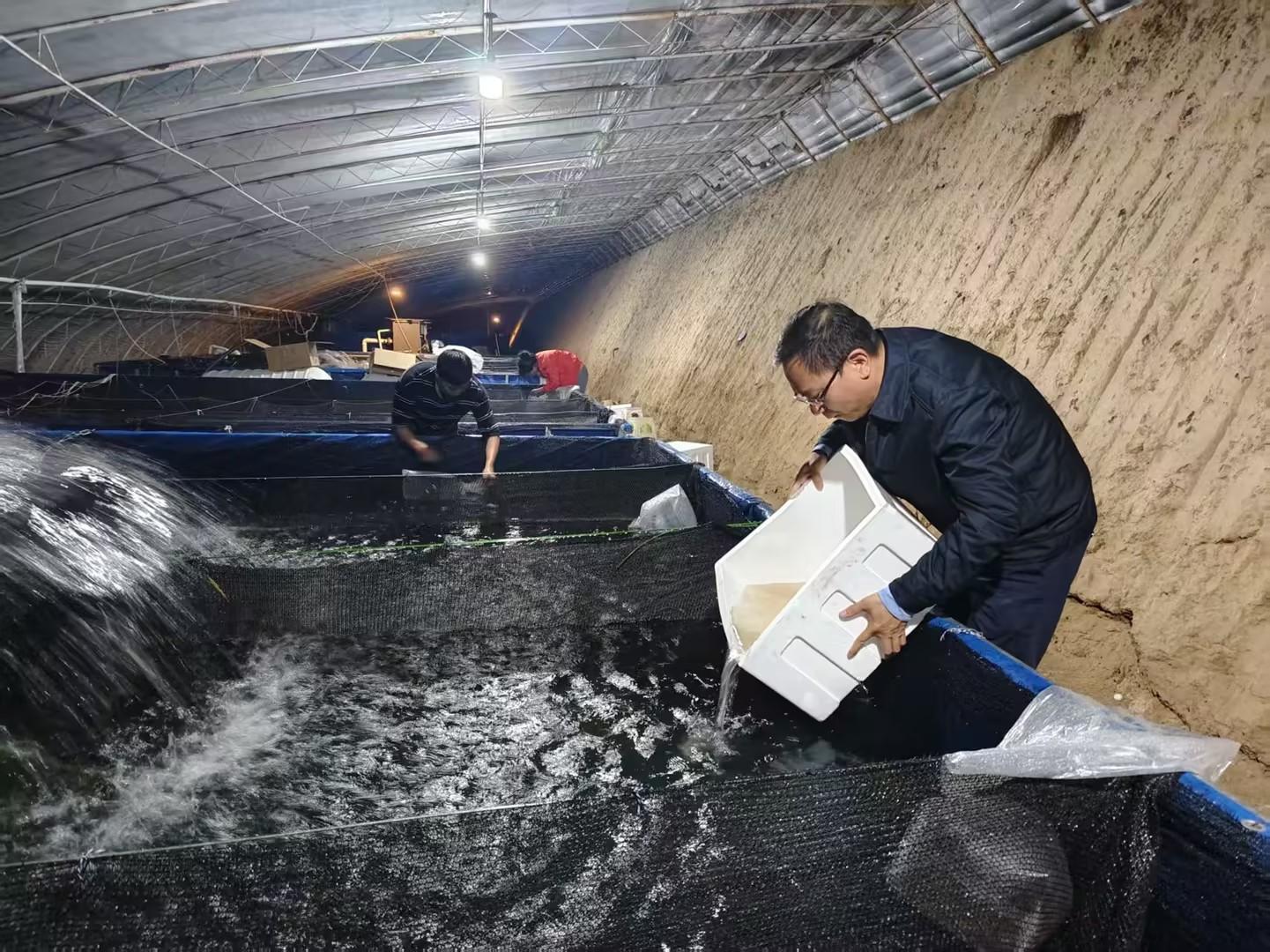 科技援青为乌兰草原再添农业“金名片”