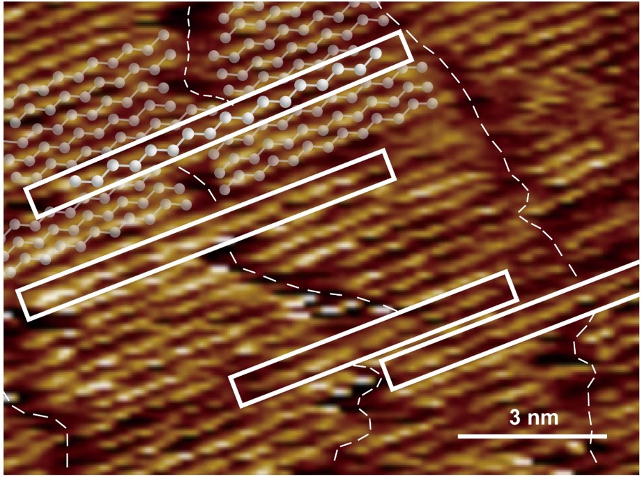 我国学者在蛋白质相互作用中发现“榫卯”结构