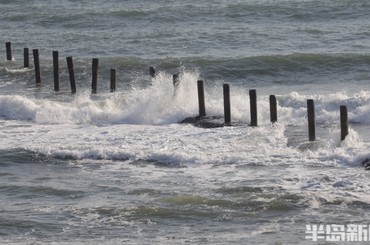 青岛沿海一线：海滨壮阔浪翻涌