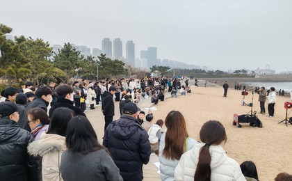 青岛小麦岛人气旺！