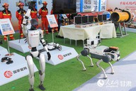 “文武双全”的钢铁尖兵全面上线